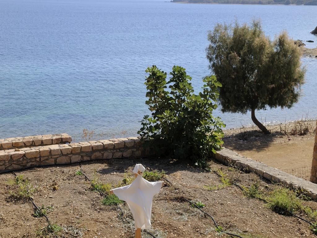 Onar Patmos Lägenhet Grikos Bay  Exteriör bild